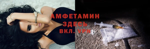 PSILOCYBIN Зерноград