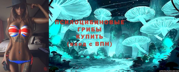 PSILOCYBIN Зерноград
