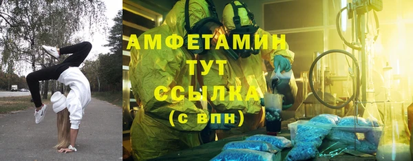 PSILOCYBIN Зерноград