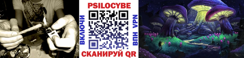 Галлюциногенные грибы Psilocybe  Майкоп 