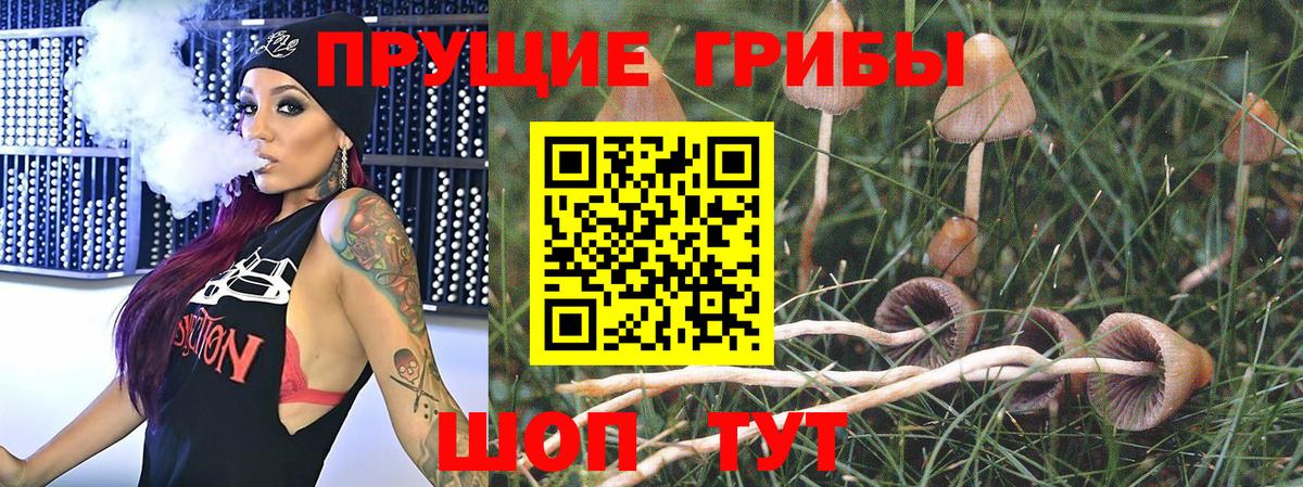 Псилоцибиновые грибы прущие грибы Майкоп