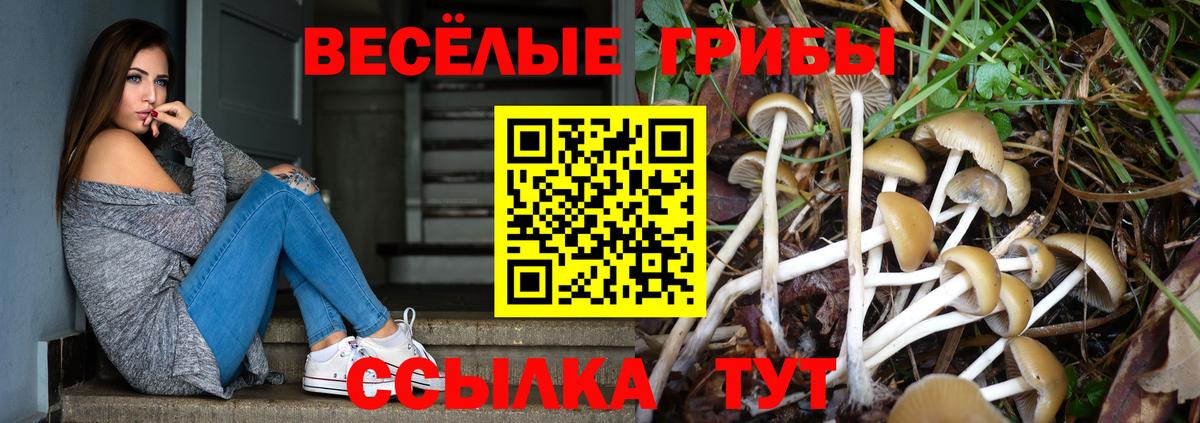 Майкоп  Галлюциногенные грибы MAGIC MUSHROOMS  Вход с VPN  где найти   Галлюциногенные грибы прущие грибы 